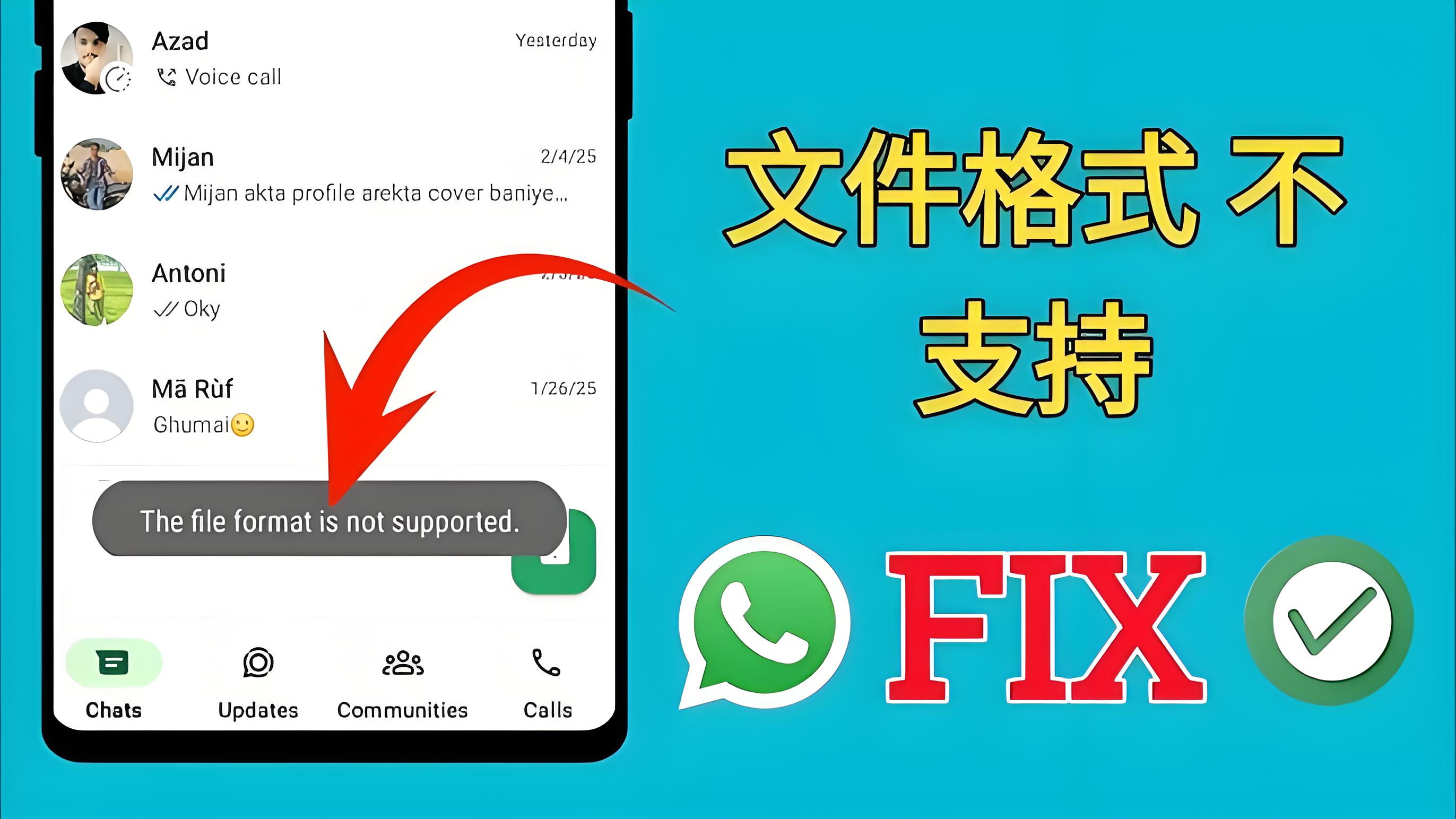 WhatsApp能传哪些文件？