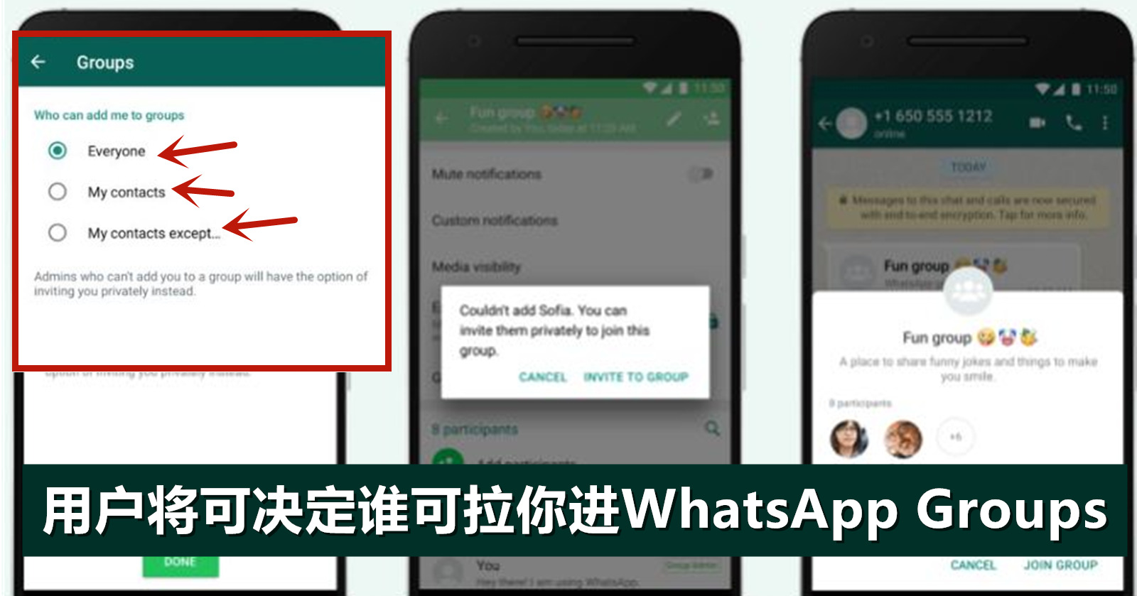 WhatsApp如何查看群公告？完整操作教程