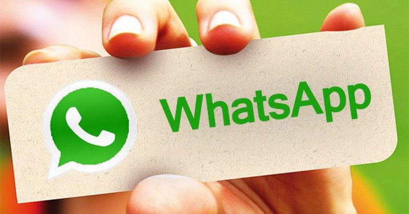 如何在WhatsApp上传并分享PDF？这几步轻松搞定