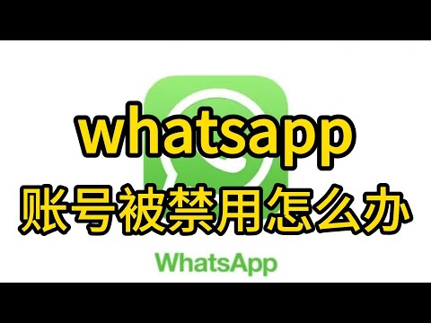 为什么WhatsApp暂时无法使用？可能的6大原因