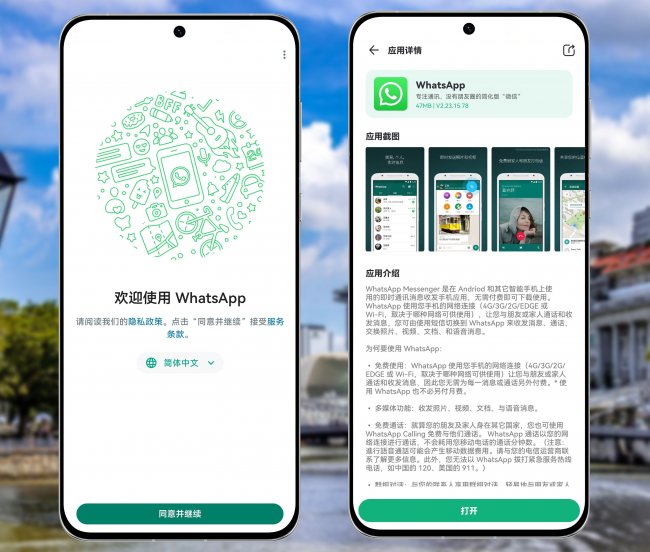 WhatsApp安装与设置全攻略：新用户入门必看