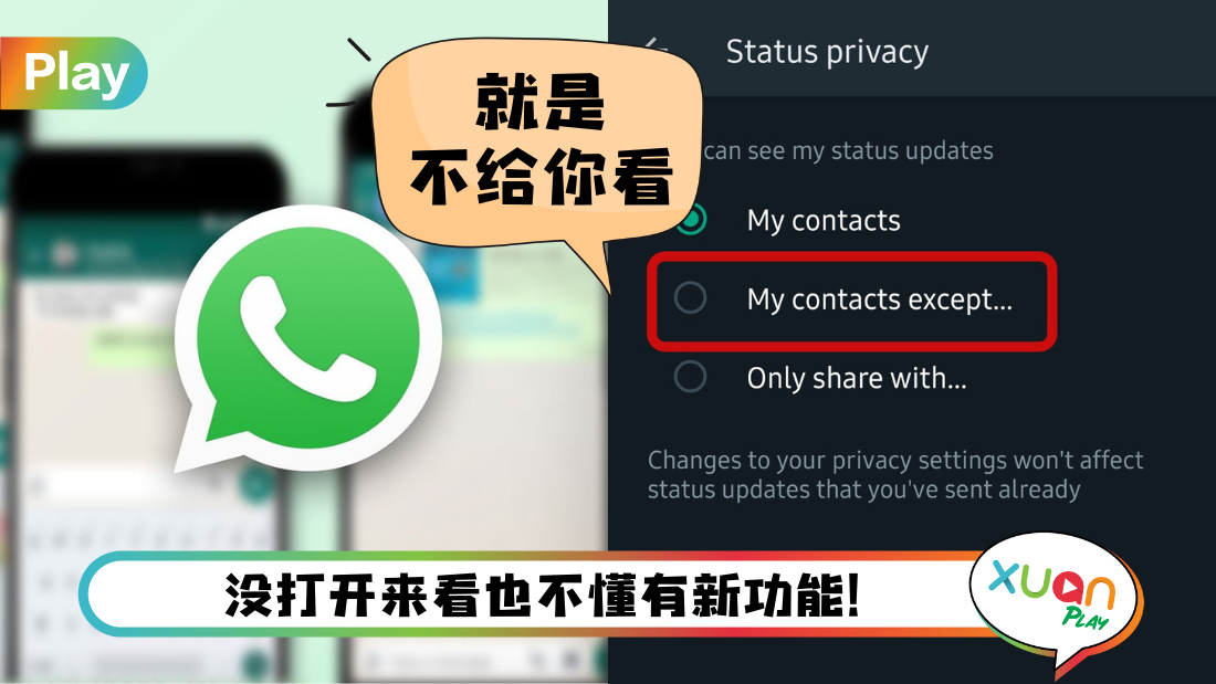 WhatsApp 头像不显示全解析：从隐私设定到账号例外的完整排查方法