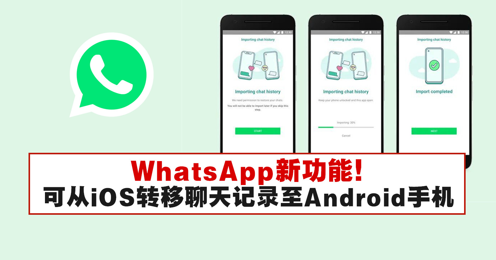 WhatsApp 误删聊天纪录急救指南：备份检查、恢复步骤与成功条件全解析